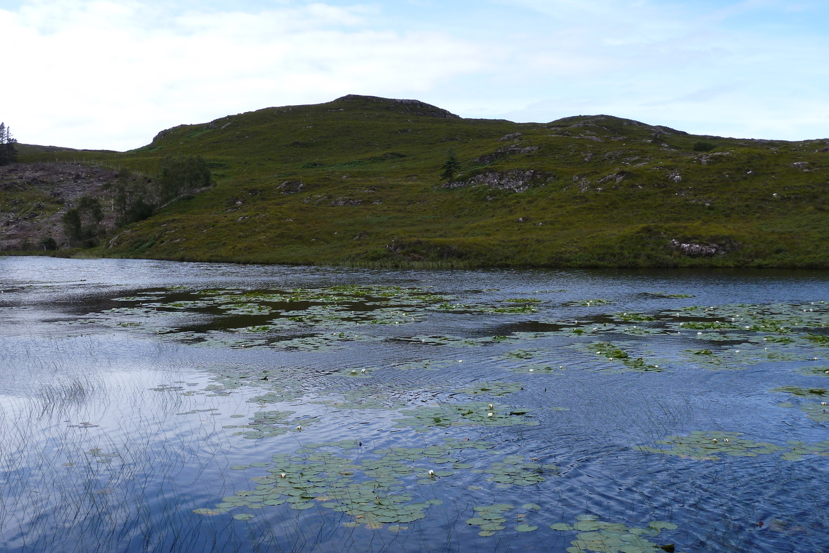 รูปถ่าย อังกฤษ(United Kingdom) สกอตแลนด์(Scotland) แกร์ลอค(Gairloch) 2011-07 39