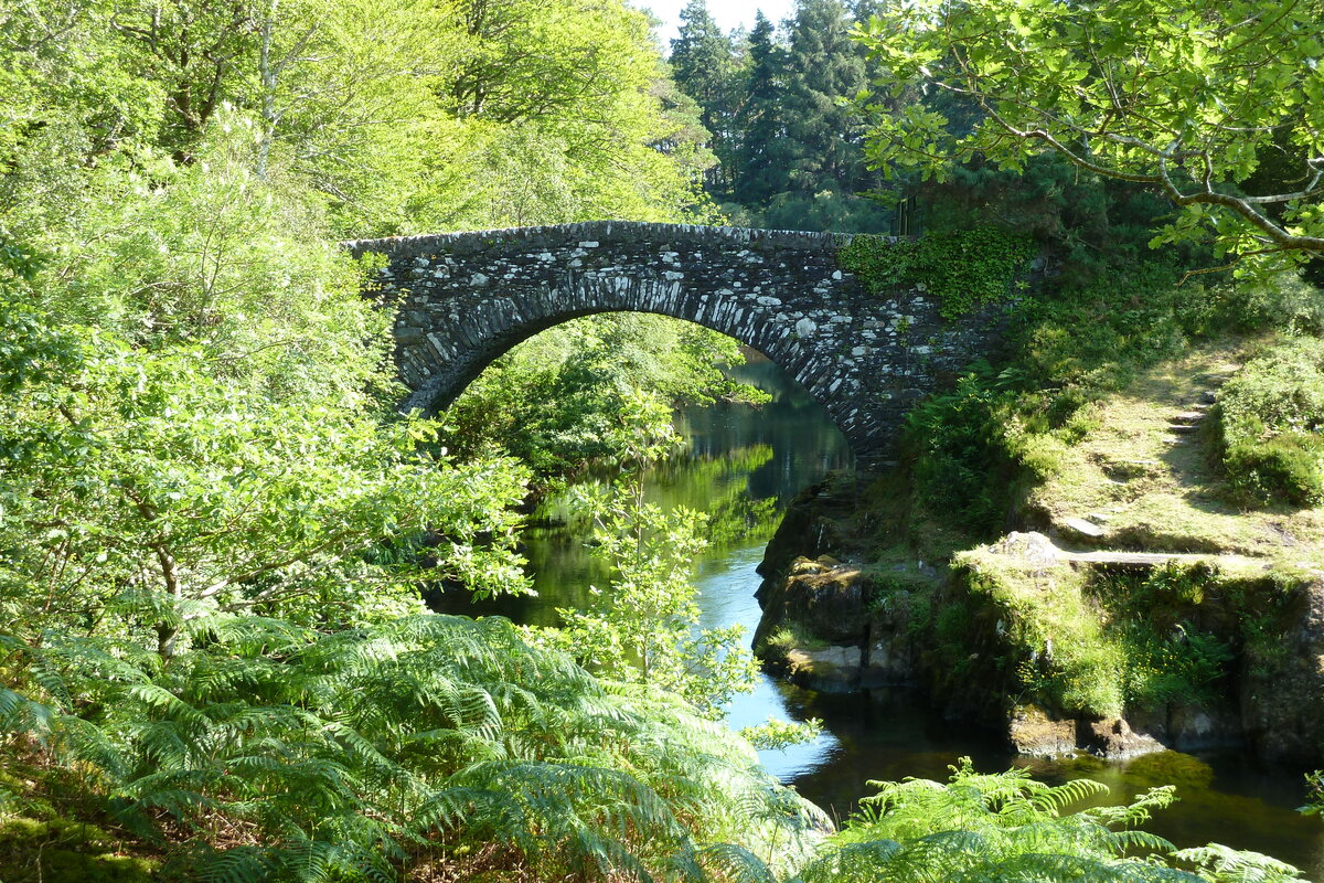 รูปถ่าย อังกฤษ(United Kingdom) สกอตแลนด์(Scotland) เซเลน(Salen) 2011-07 71
