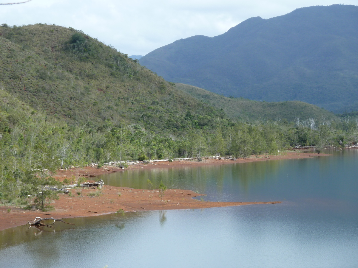 รูปถ่าย นิวแคลิโดเนีย(New Caledonia) อุทยานริเวียร์เบลอ(Parc de la Riviere Bleue) 2010-05 141