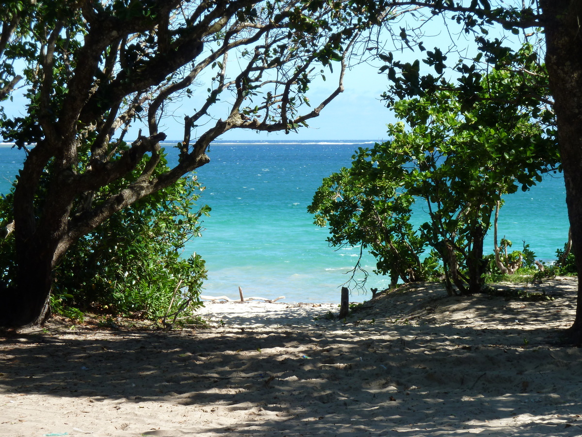 รูปถ่าย ฟิจิ(Fiji) 2010-05 57