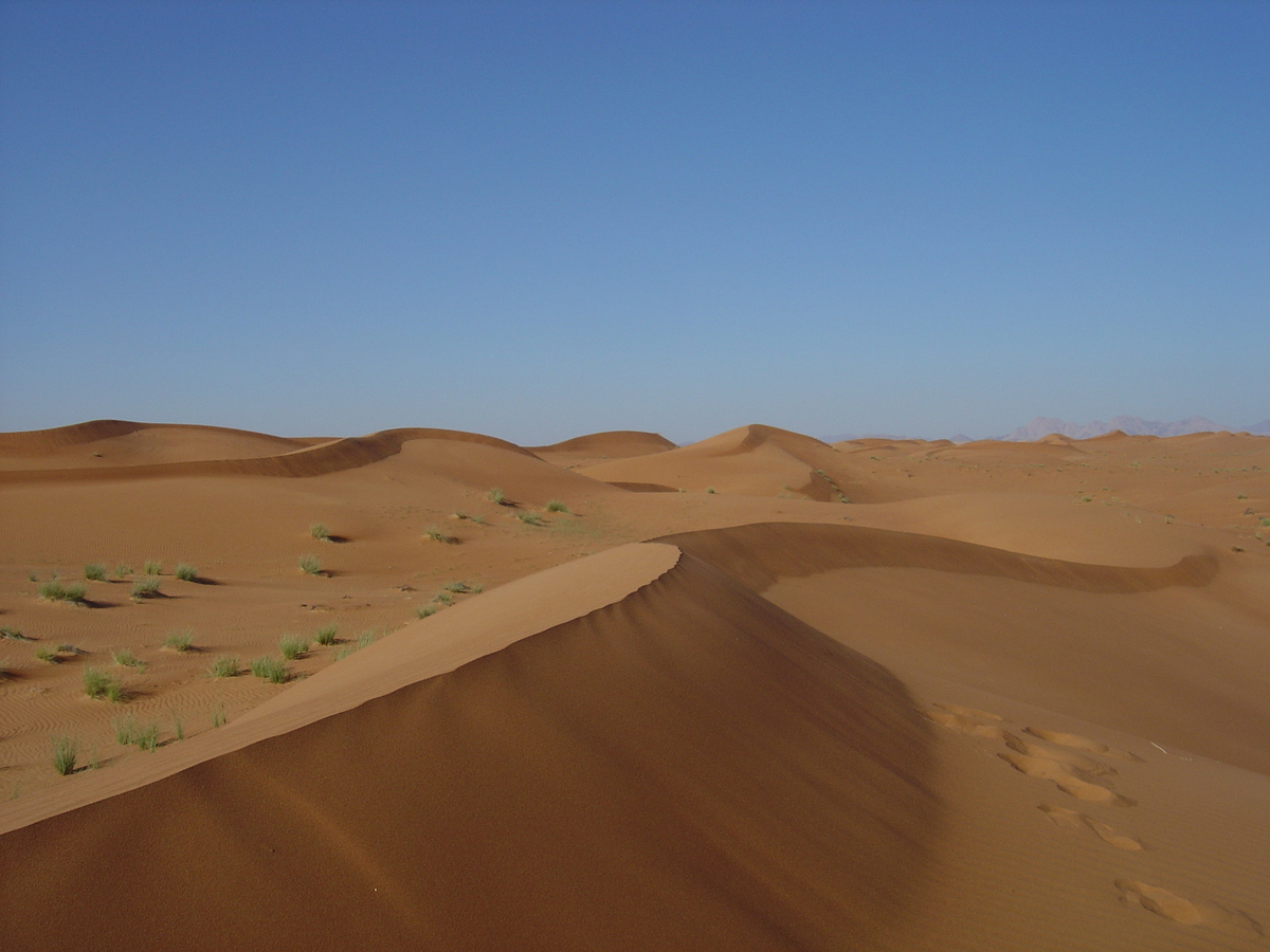 รูปถ่าย สหรัฐอาหรับเอมิเรตส์(United Arab Emirates) จากดูไบไปถนนอัลอิน(Dubai to Al Ain road) 2005-03 68