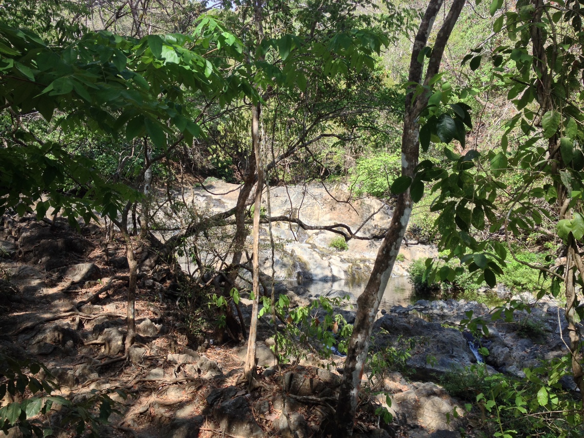รูปถ่าย คอสตาริกา(Costa Rica) มอนเตซูมา(Montezuma) 2015-03 286