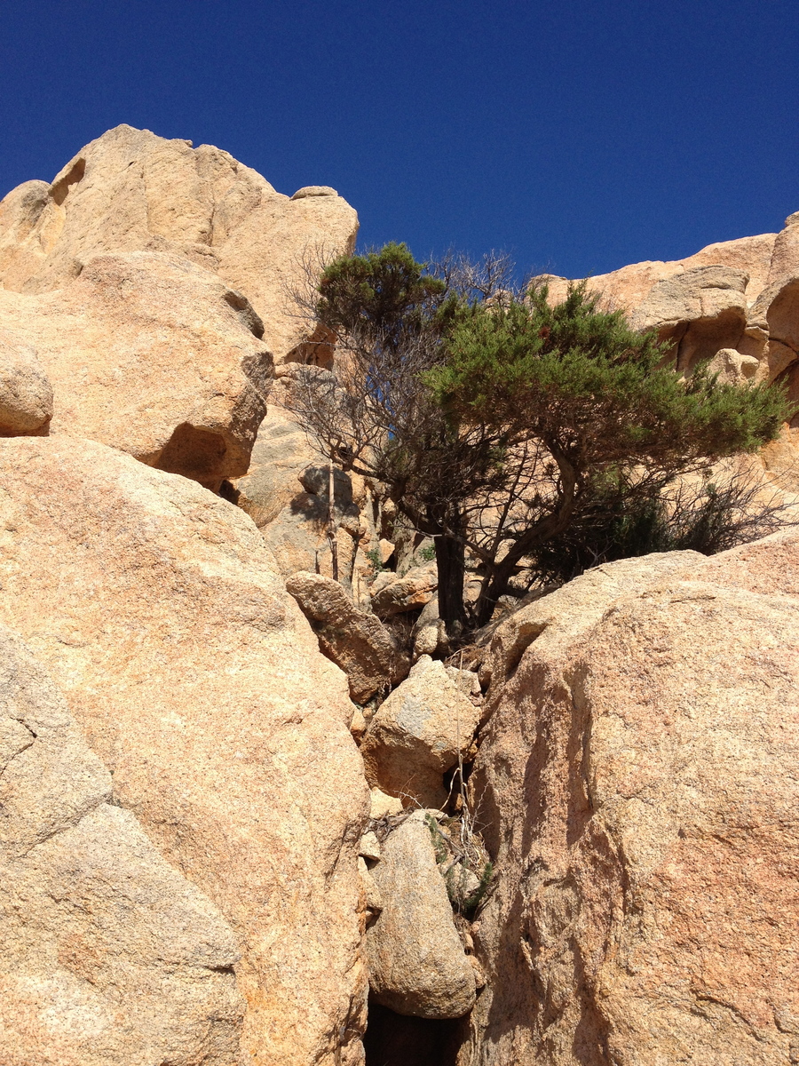 รูปถ่าย อิตาลี(Italy) อ่าวกาลาโกตีชโช(Cala Coticcio) 2012-09 3