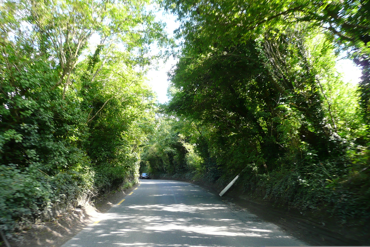 รูปถ่าย ไอร์แลนด์(Ireland) ดับลิน(Dublin) ถนนเลียบแม่น้ำ(River road) 2008-09 9