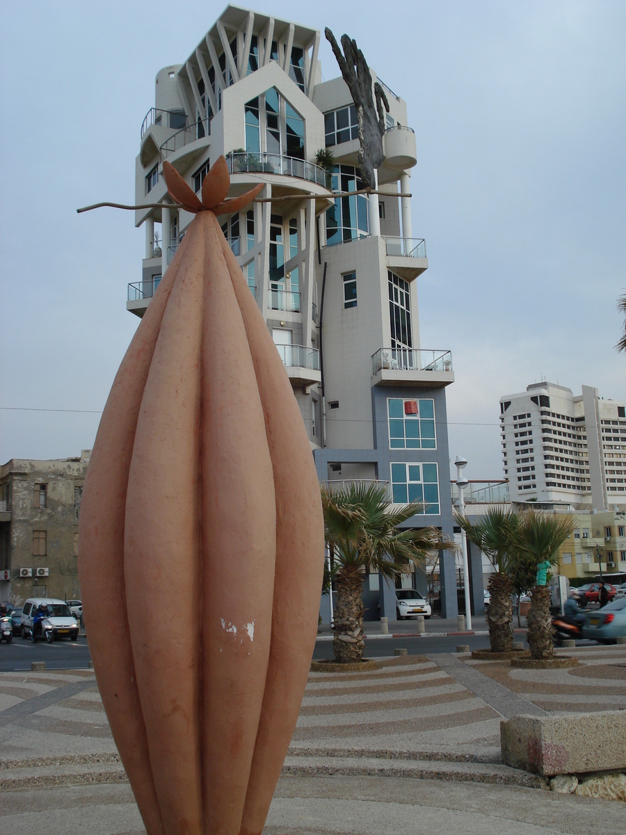 รูปถ่าย อิสราเอล(Israel) เทลอาวีฟ(Tel Aviv) ชายหาดเทลอาวีฟ(Tel Aviv Sea Shore) 2006-12 133