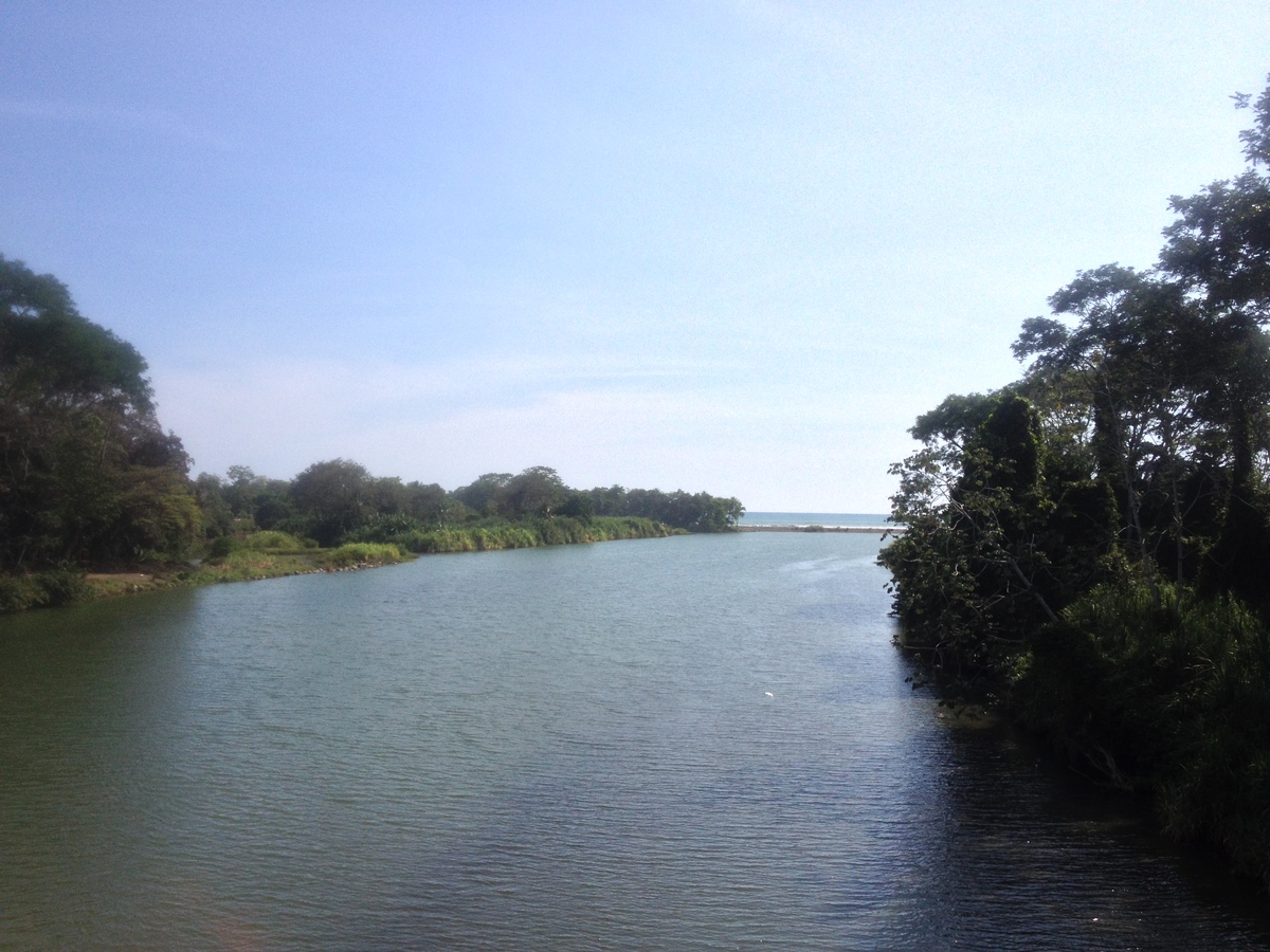 รูปถ่าย คอสตาริกา(Costa Rica) โดมินิกัล(Dominical) 2015-03 134