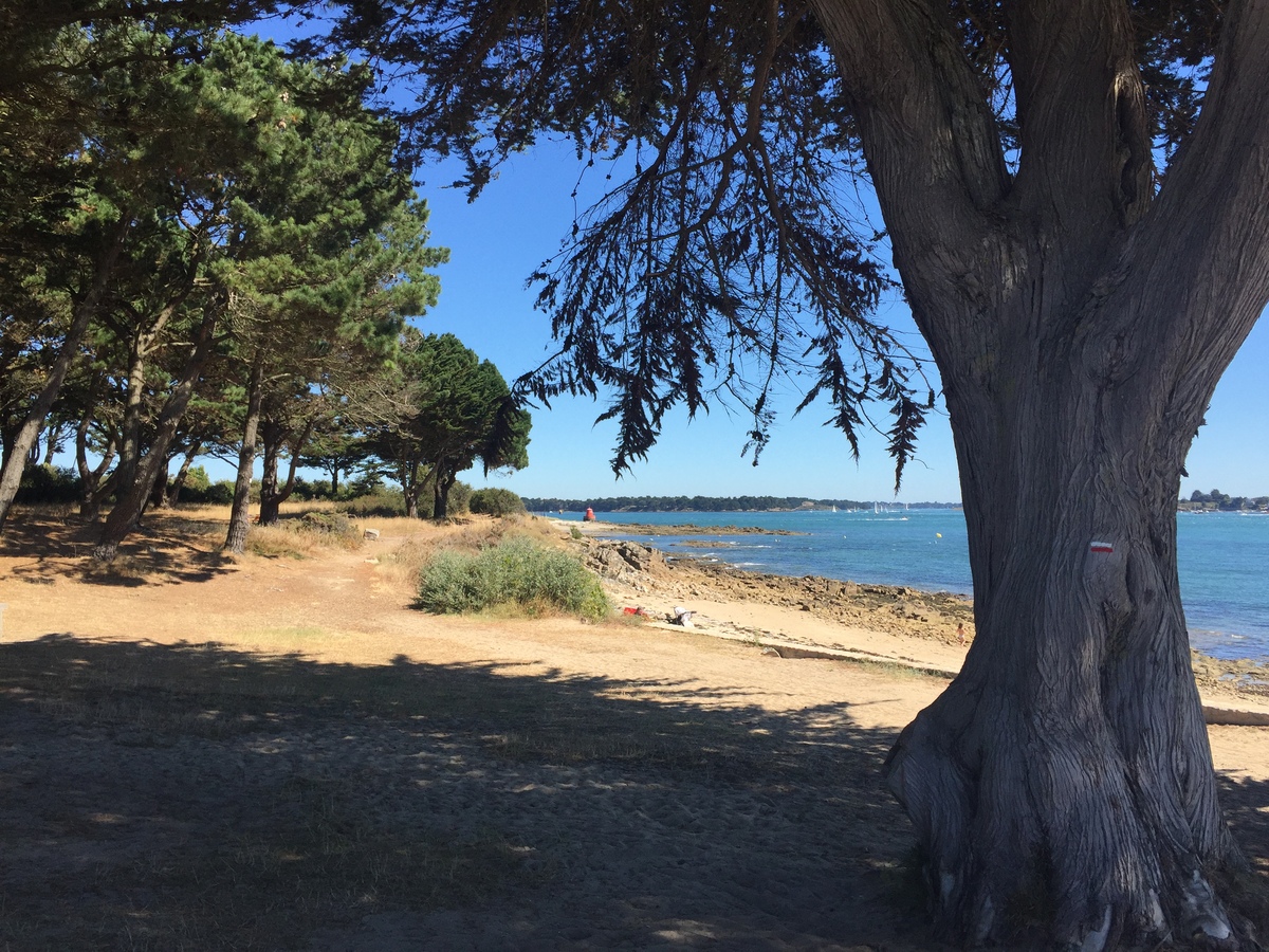 รูปถ่าย ฝรั่งเศส(France) ลอคมารีอาแกร์(Locmariaquer) 2016-08 39