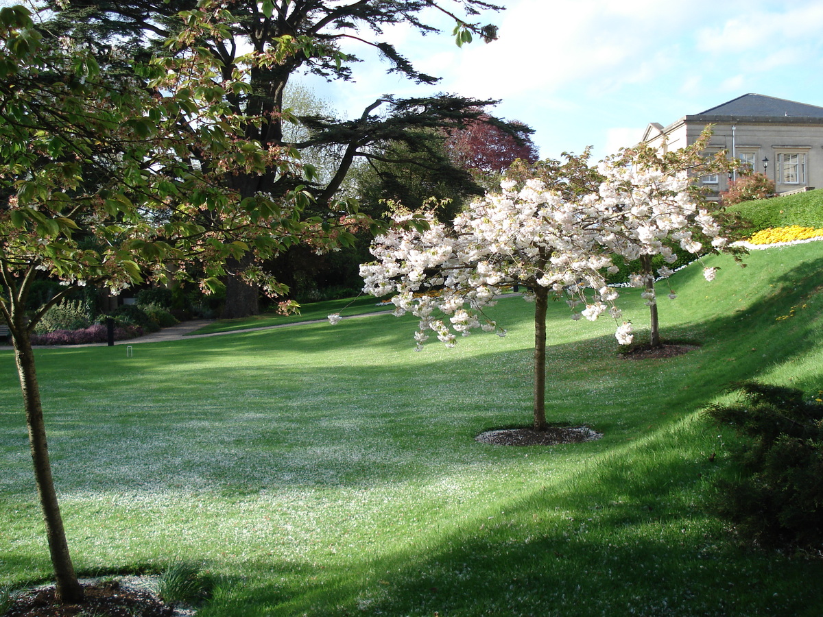 รูปถ่าย อังกฤษ(United Kingdom) บาธ(Bath) โรงแรมแมกโดนัลด์ สปา(MacDonald Spa Hotel) 2006-05 26
