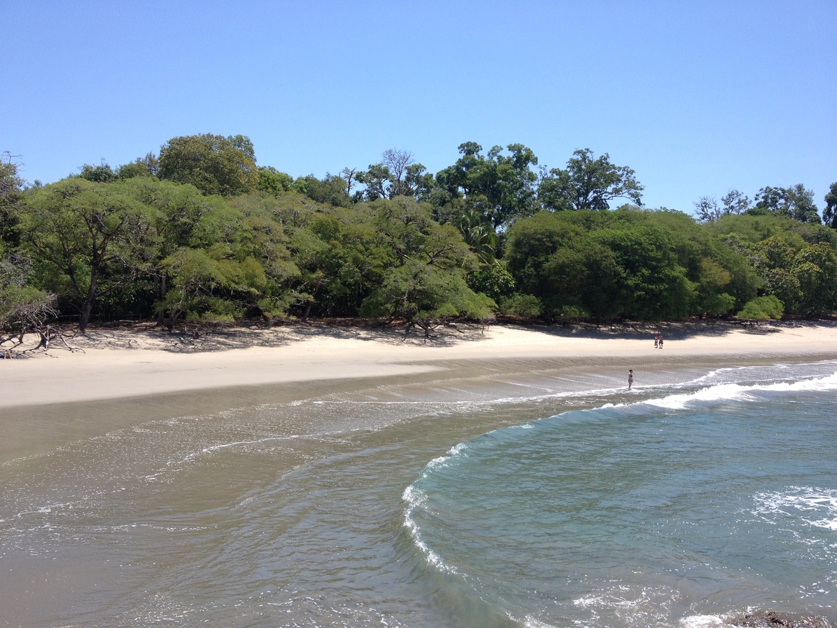 รูปถ่าย คอสตาริกา(Costa Rica) มานวยล์อันโตนีโอ(Manuel Antonio) 2015-03 190