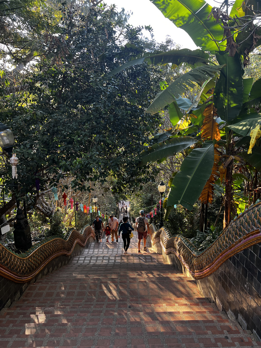 รูปถ่าย ไทย(Thailand) เชียงใหม่(Chiang Mai) ดอยสุเทพ(Doi Suthep) 2024-01 15