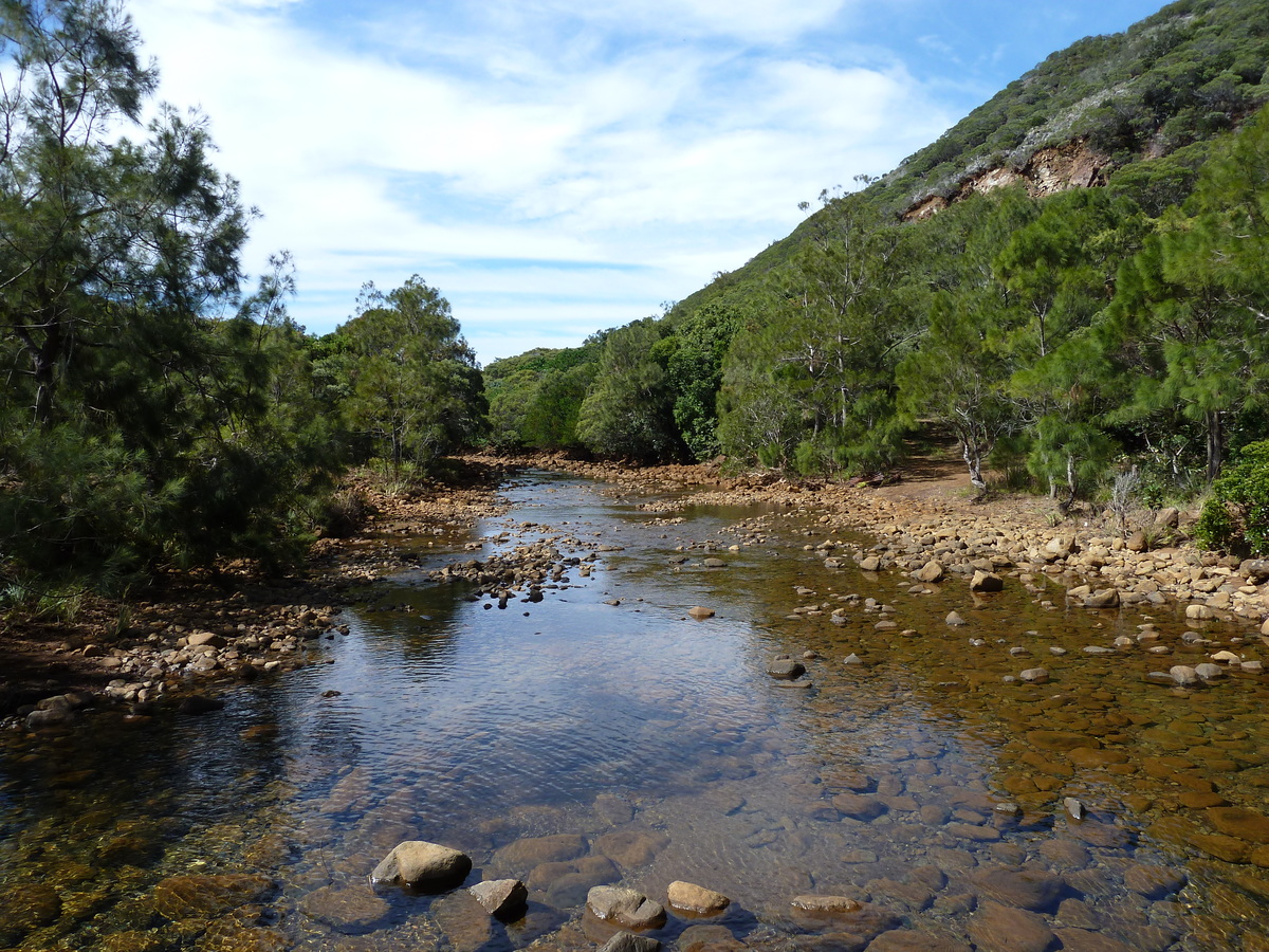รูปถ่าย นิวแคลิโดเนีย(New Caledonia) ทีโอ(Thio) 2010-05 6