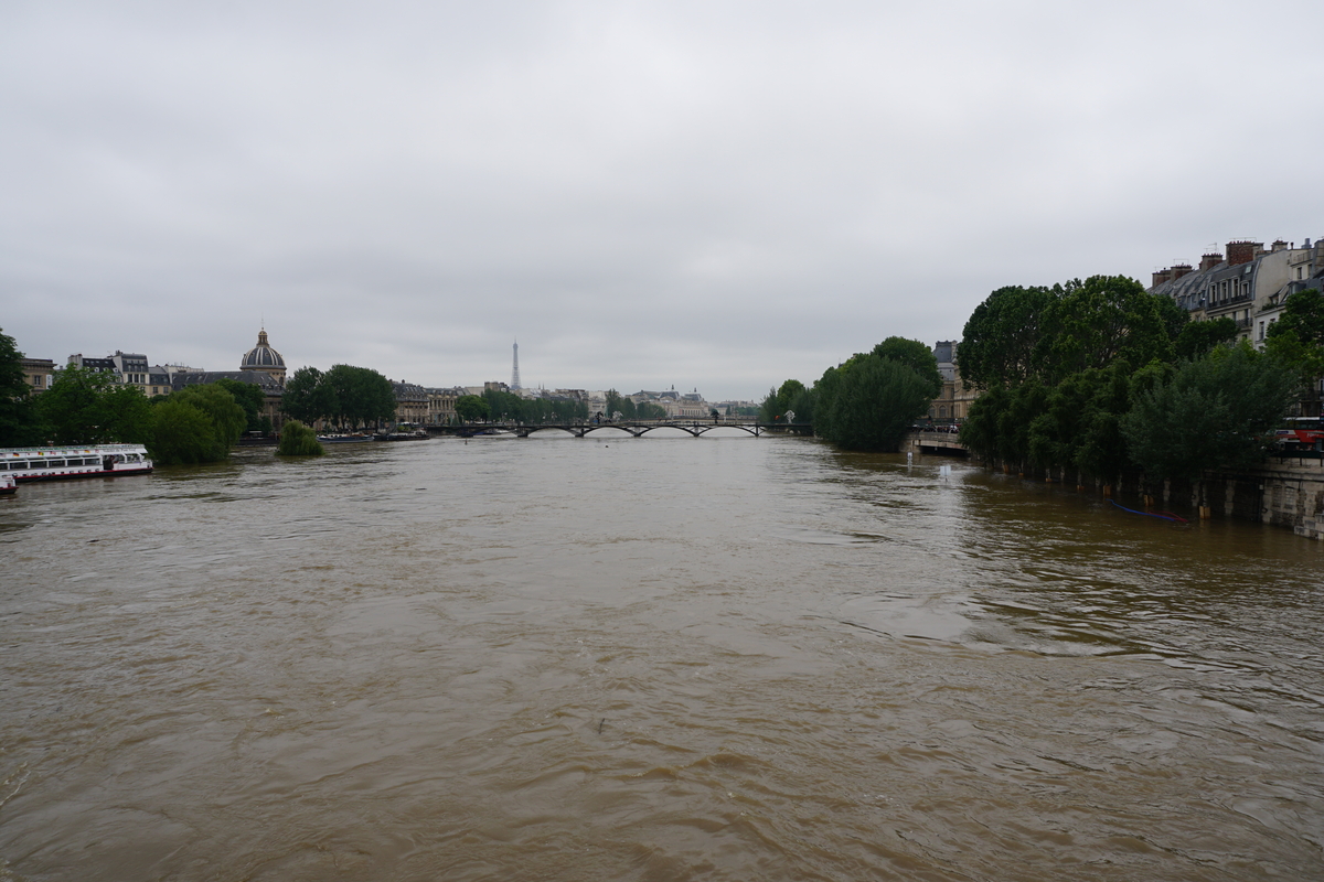 รูปถ่าย ฝรั่งเศส(France) ปารีส(Paris) แม่น้ำแซน(Seine river) 2016-06 33