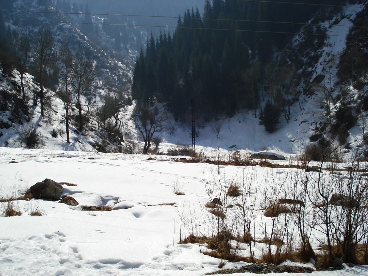 รูปถ่าย คาซัคสถาน(Kazakhstan) อุทยานแห่งชาติอีเลอาลาเตา(Ile Alatau National Park) 2007-03 101