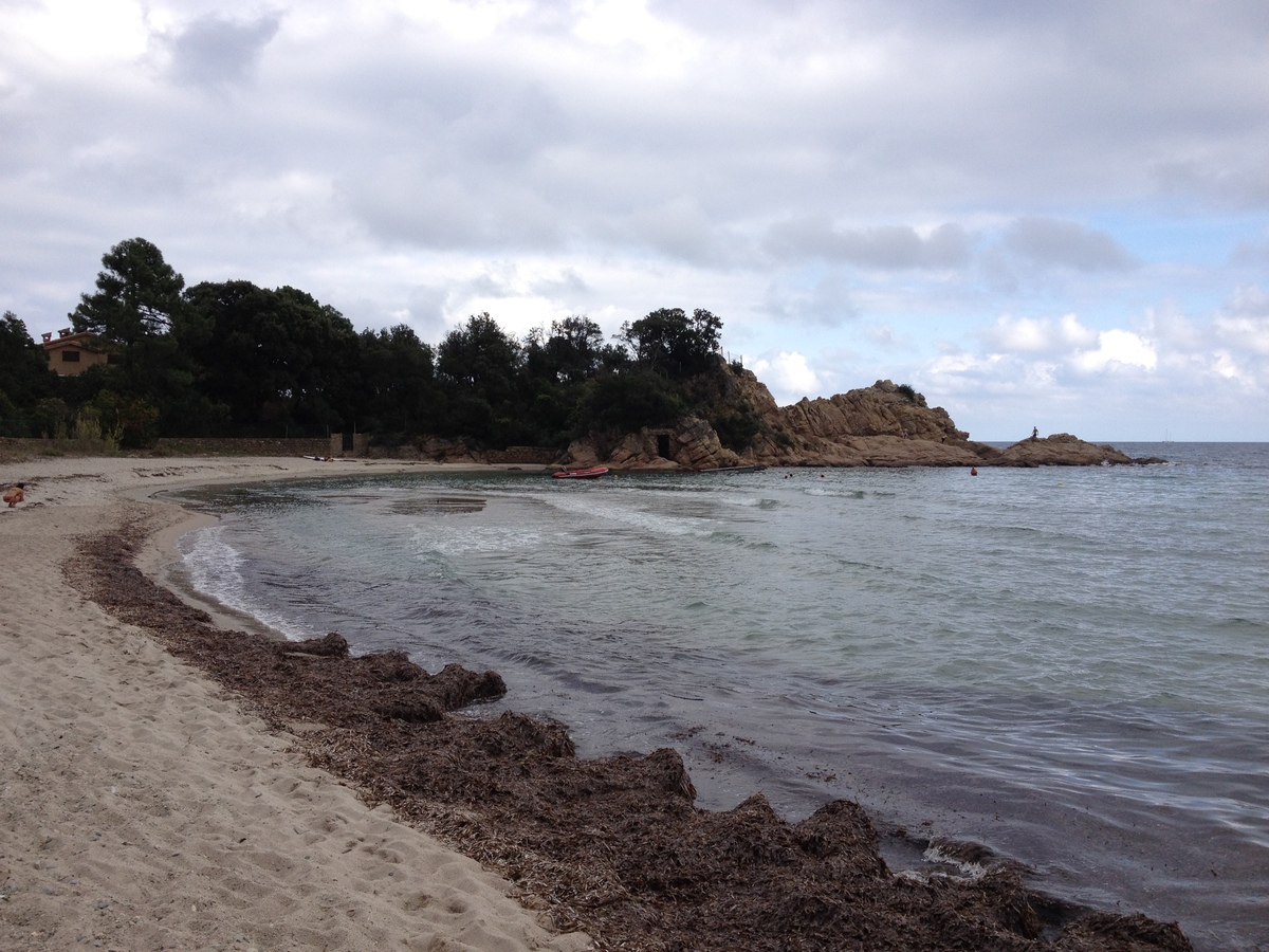 รูปถ่าย ฝรั่งเศส(France) คอร์สิคา(Corsica) กาเนลลา(Canella) 2012-09 4