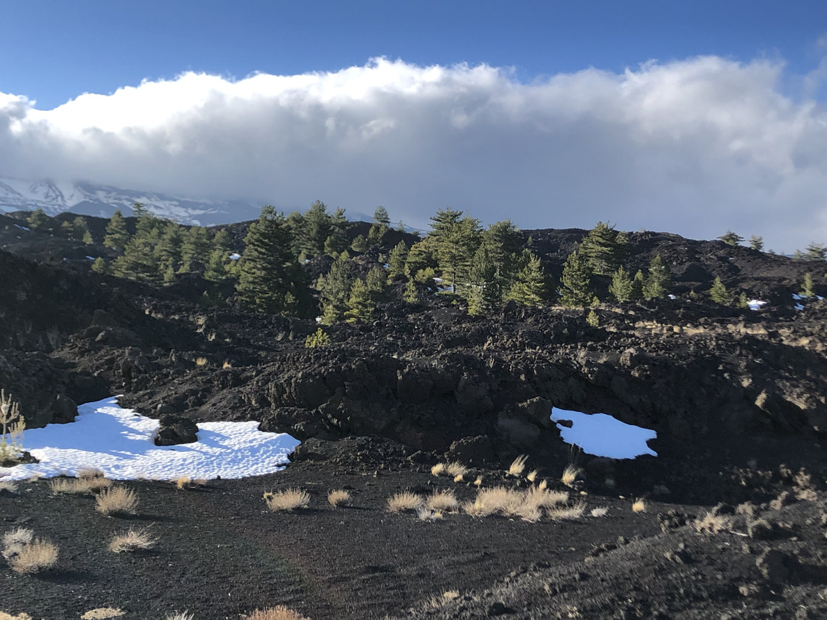 รูปถ่าย อิตาลี(Italy) ซิซิลี(Sicily) ภูเขาไฟเอตนา(Etna) 2020-02 56
