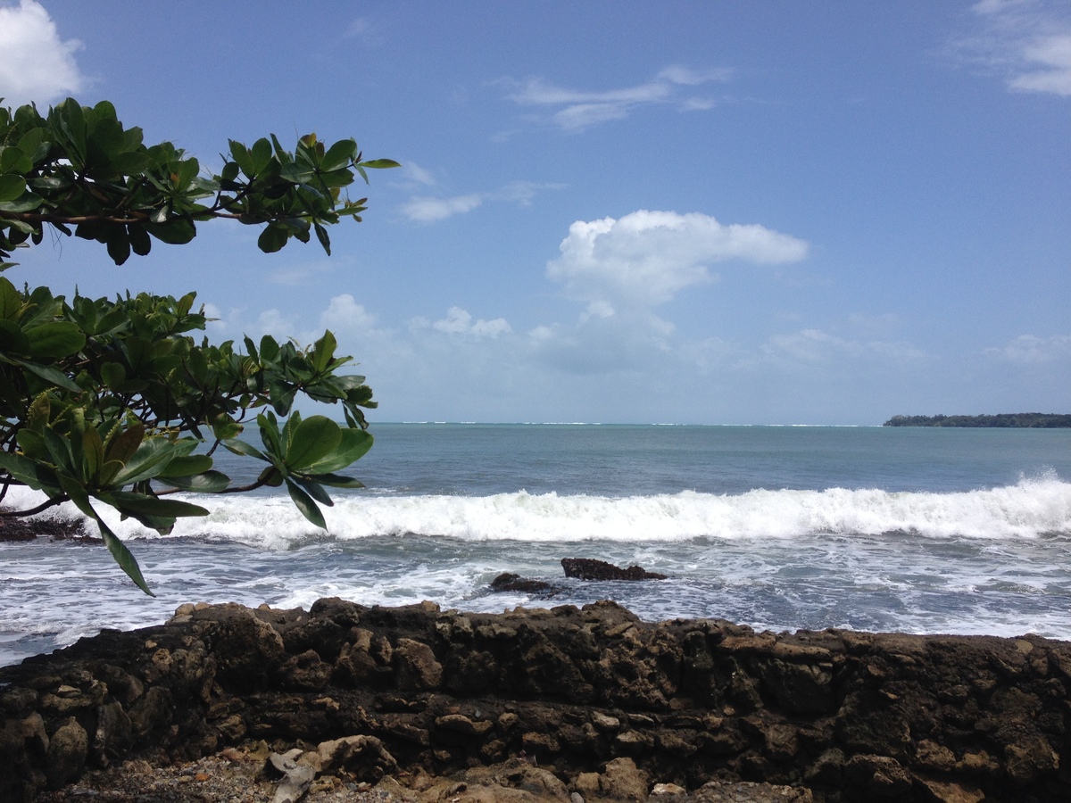 รูปถ่าย คอสตาริกา(Costa Rica) กาอุยตา(Cahuita) 2015-03 196