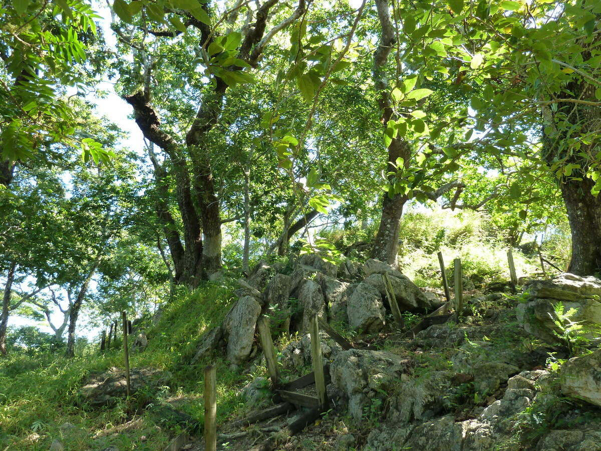 รูปถ่าย ฟิจิ(Fiji) ป้อมเนินเขาตาวูนี(Tavuni Hill Fort) 2010-05 1