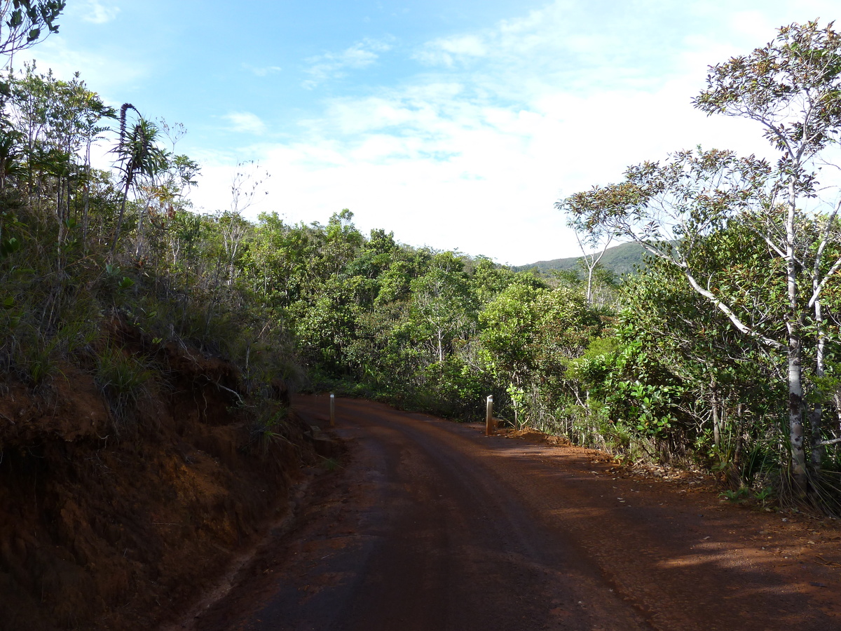 รูปถ่าย นิวแคลิโดเนีย(New Caledonia) อุทยานริเวียร์เบลอ(Parc de la Riviere Bleue) 2010-05 139
