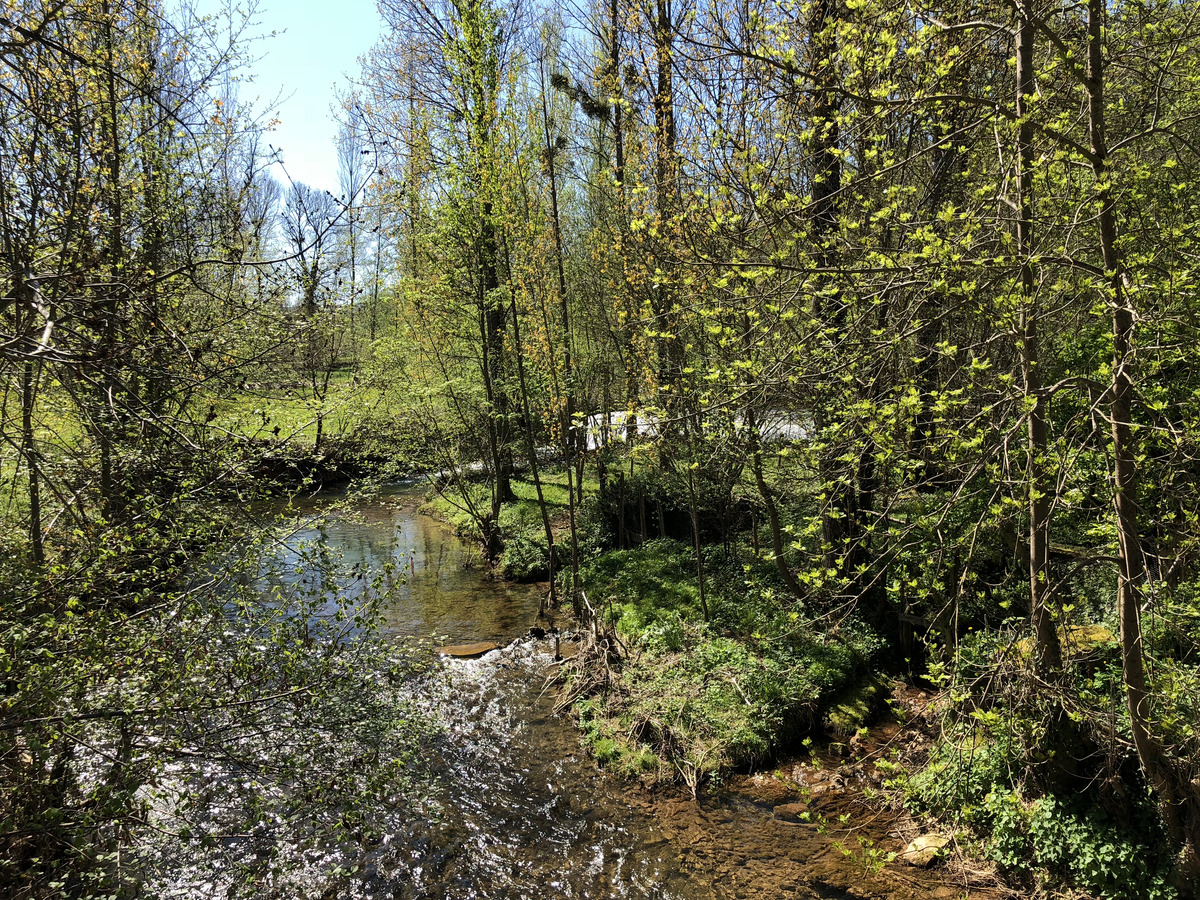 รูปถ่าย ฝรั่งเศส(France) กงก์(Conques) 2018-04 91