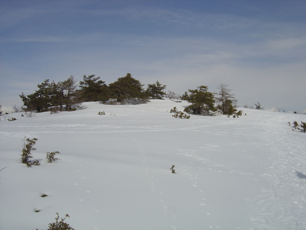 รูปถ่าย ฝรั่งเศส(France) เกรโอลีแยร์(Greolieres) 2006-02 26