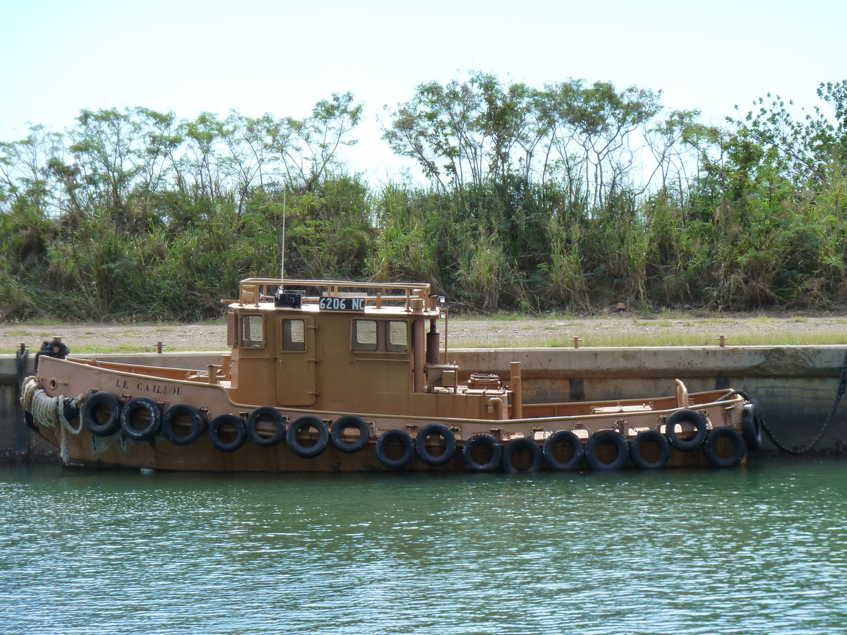 รูปถ่าย นิวแคลิโดเนีย(New Caledonia) ทีโอ(Thio) 2010-05 41
