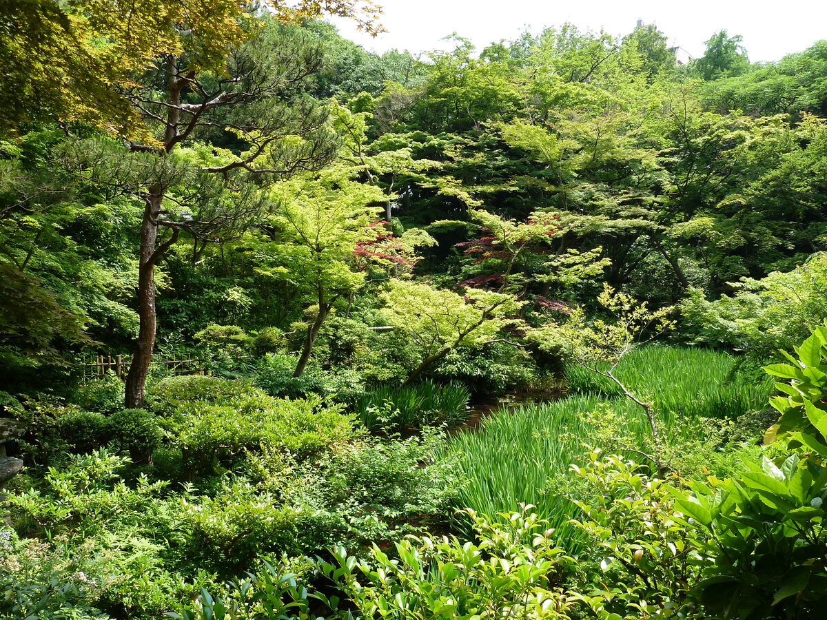 รูปถ่าย ญี่ปุ่น(Japan) 2010-06 30