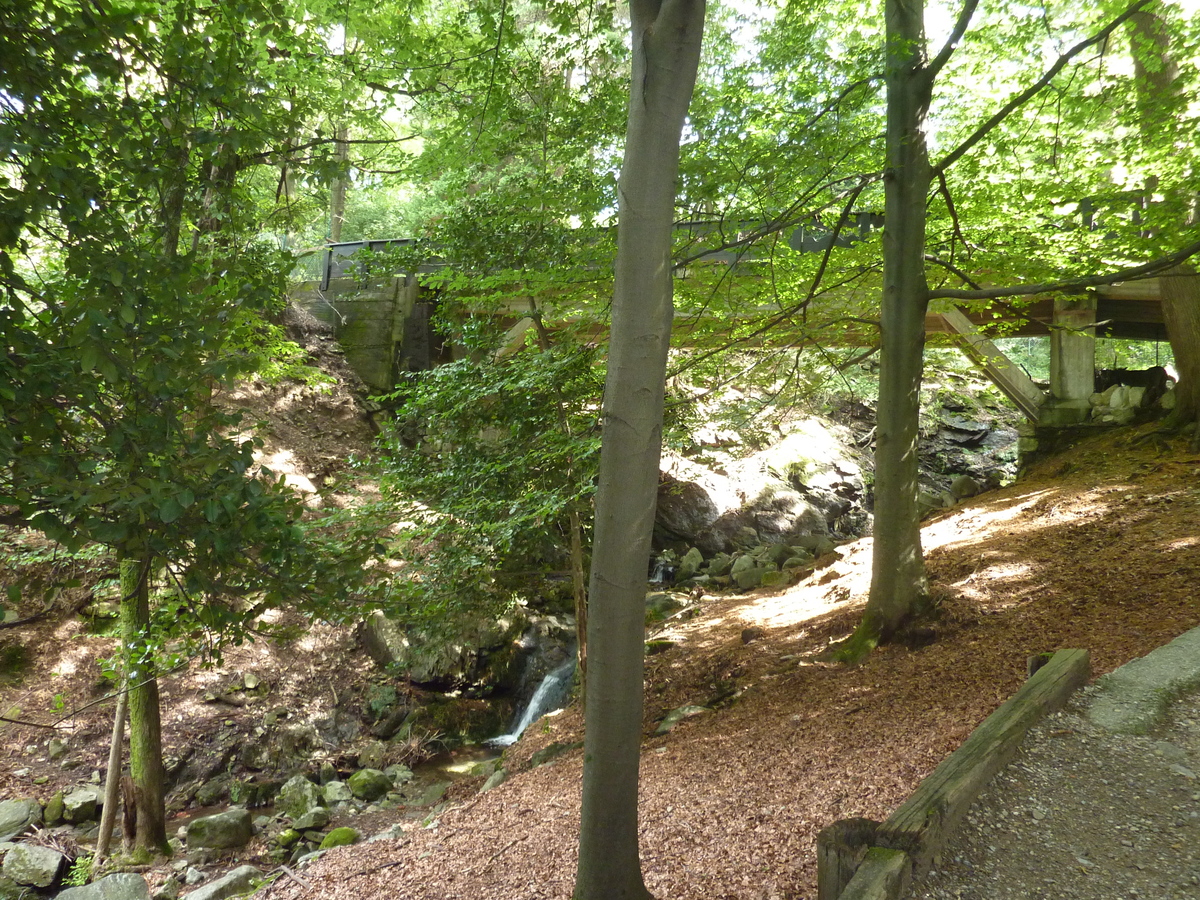รูปถ่าย อิตาลี(Italy) วิลลาปัลลาวีชีโน(Villa Pallavicino) 2009-06 56