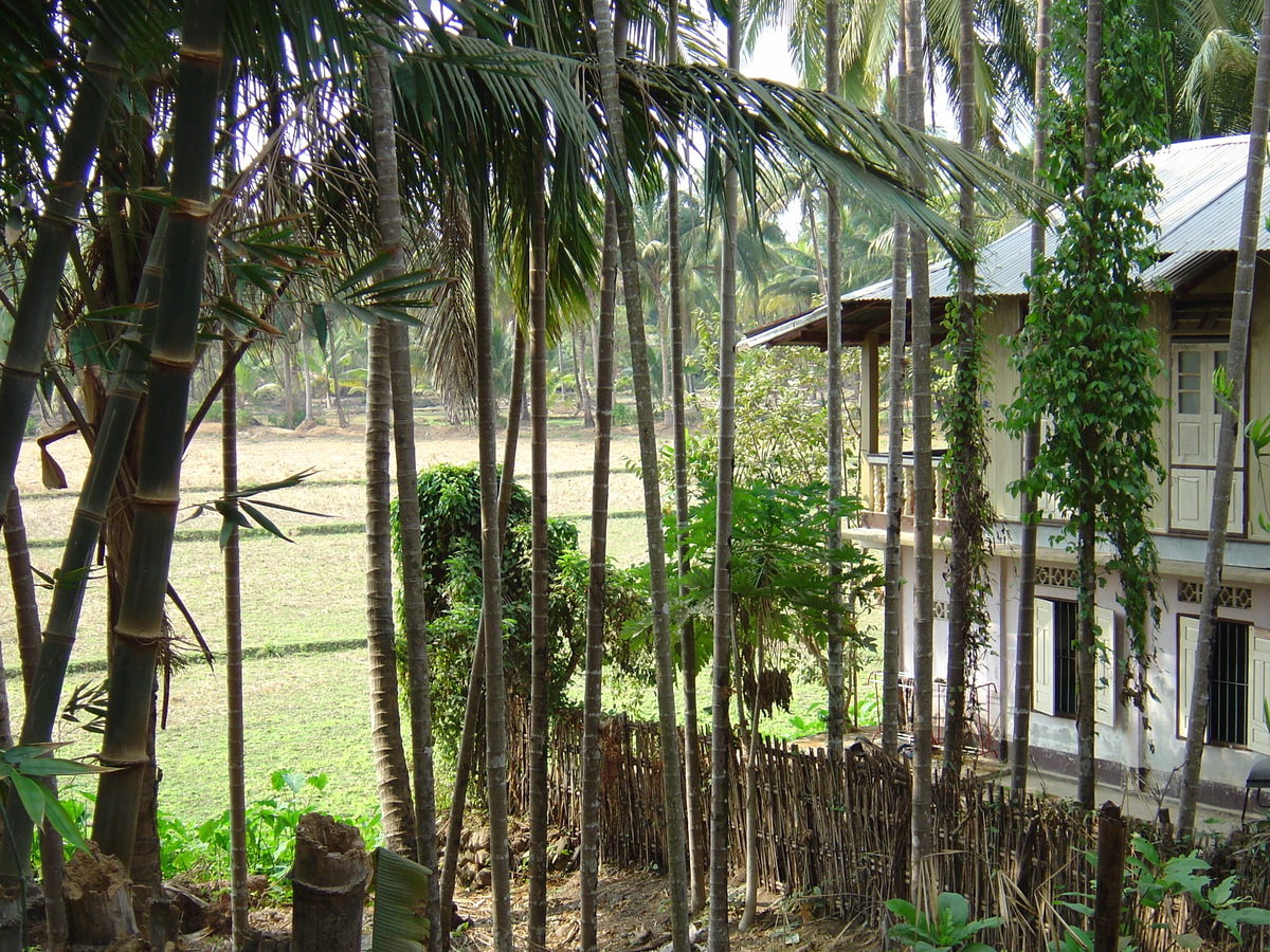 รูปถ่าย พม่า(Myanmar) หาดหม่องมะกันด้านเหนือ(Maungmagan North) 2005-01 45
