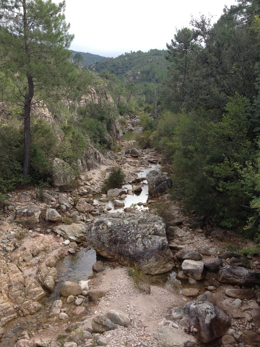 รูปถ่าย ฝรั่งเศส(France) คอร์สิคา(Corsica) โซเลนซารา(Solenzara) 2012-09 23