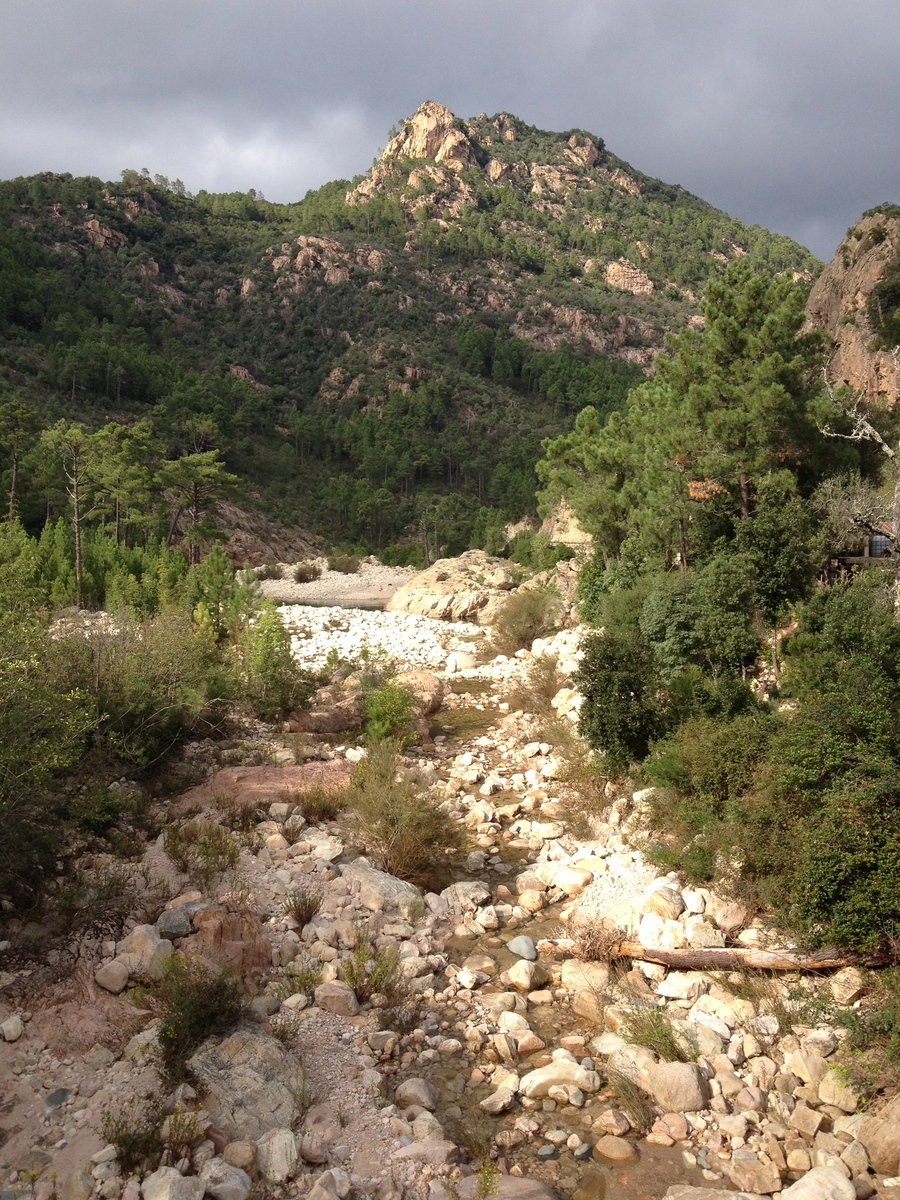 รูปถ่าย ฝรั่งเศส(France) คอร์สิคา(Corsica) โซเลนซารา(Solenzara) 2012-09 24