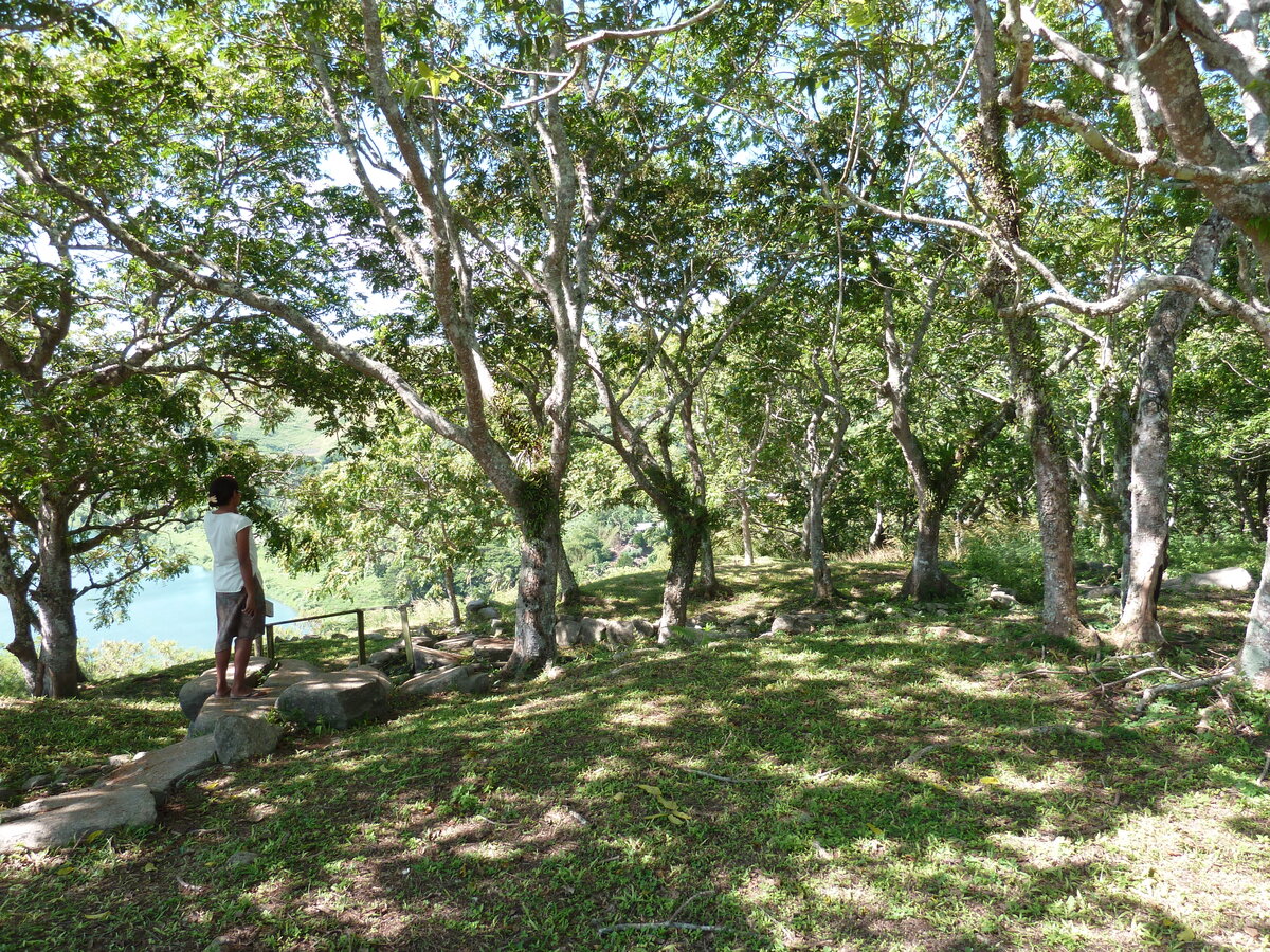 รูปถ่าย ฟิจิ(Fiji) ป้อมเนินเขาตาวูนี(Tavuni Hill Fort) 2010-05 0