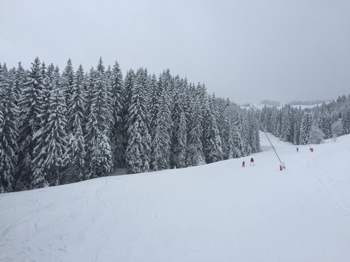 รูปถ่าย ฝรั่งเศส(France) เมแฌฟว์(Megeve) 2016-02 0