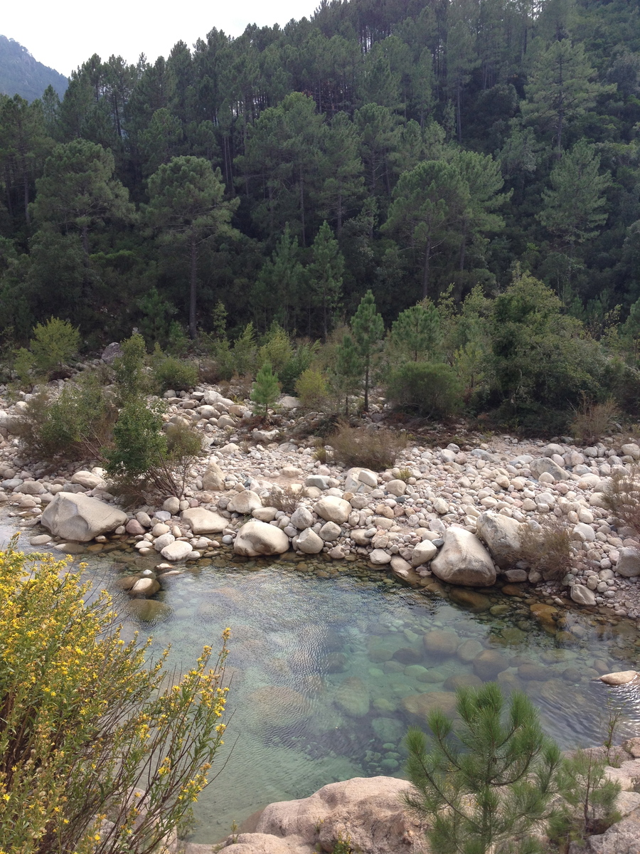 รูปถ่าย ฝรั่งเศส(France) คอร์สิคา(Corsica) โซเลนซารา(Solenzara) 2012-09 11