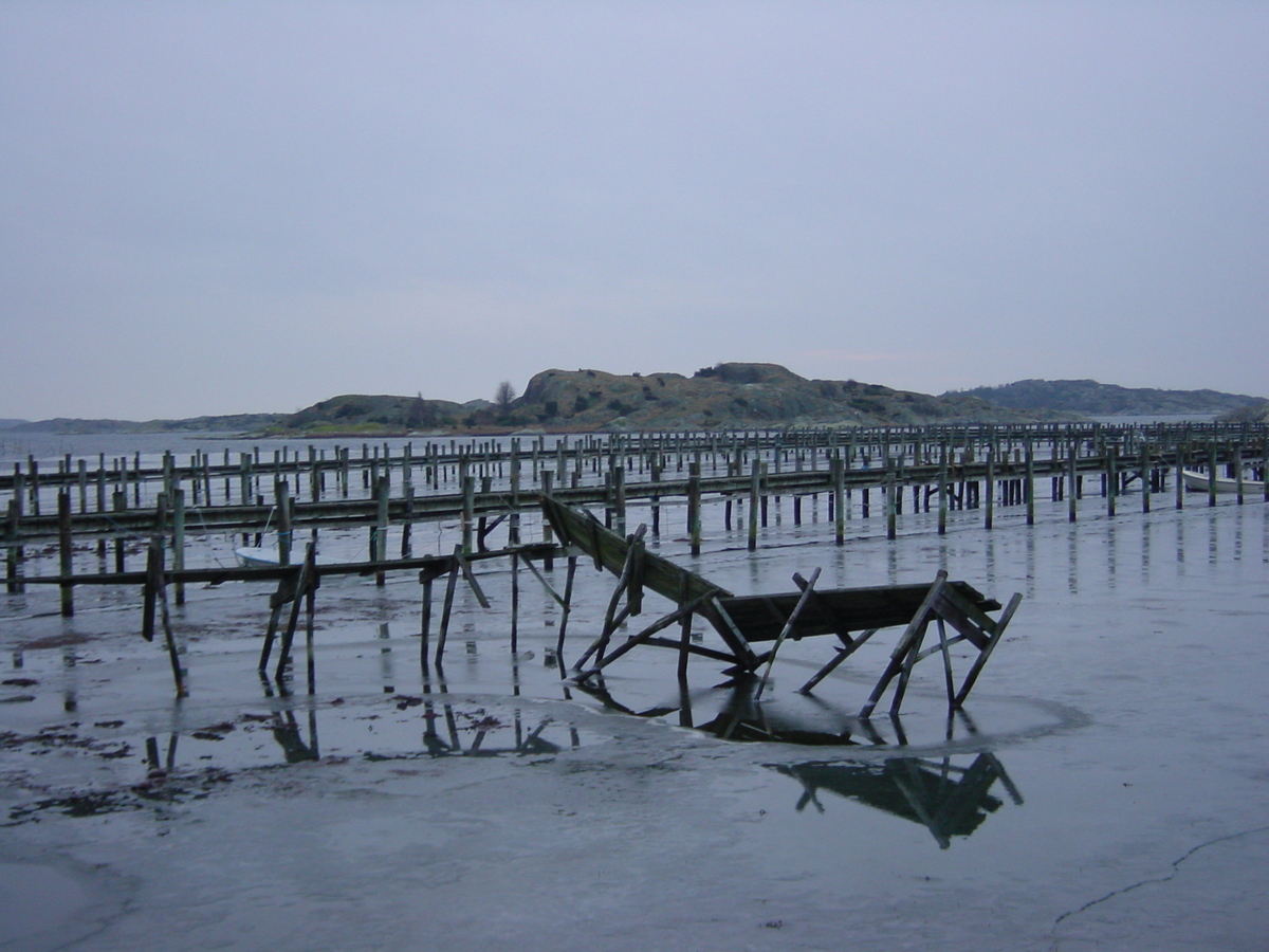 รูปถ่าย สวีเดน(Sweden) โกเธนเบิร์ก(Gothenburg) 2003-01 14