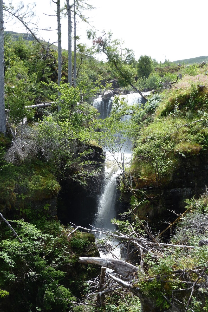 รูปถ่าย อังกฤษ(United Kingdom) สกอตแลนด์(Scotland) ทะเลสาบลอคมารี(Loch Maree) 2011-07 36
