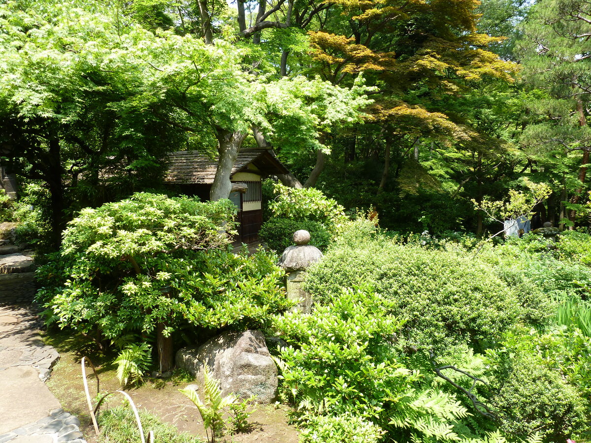 รูปถ่าย ญี่ปุ่น(Japan) โตเกียว(Tokyo) พิพิธภัณฑ์เนซุ(Nezu Museum) 2010-06 41