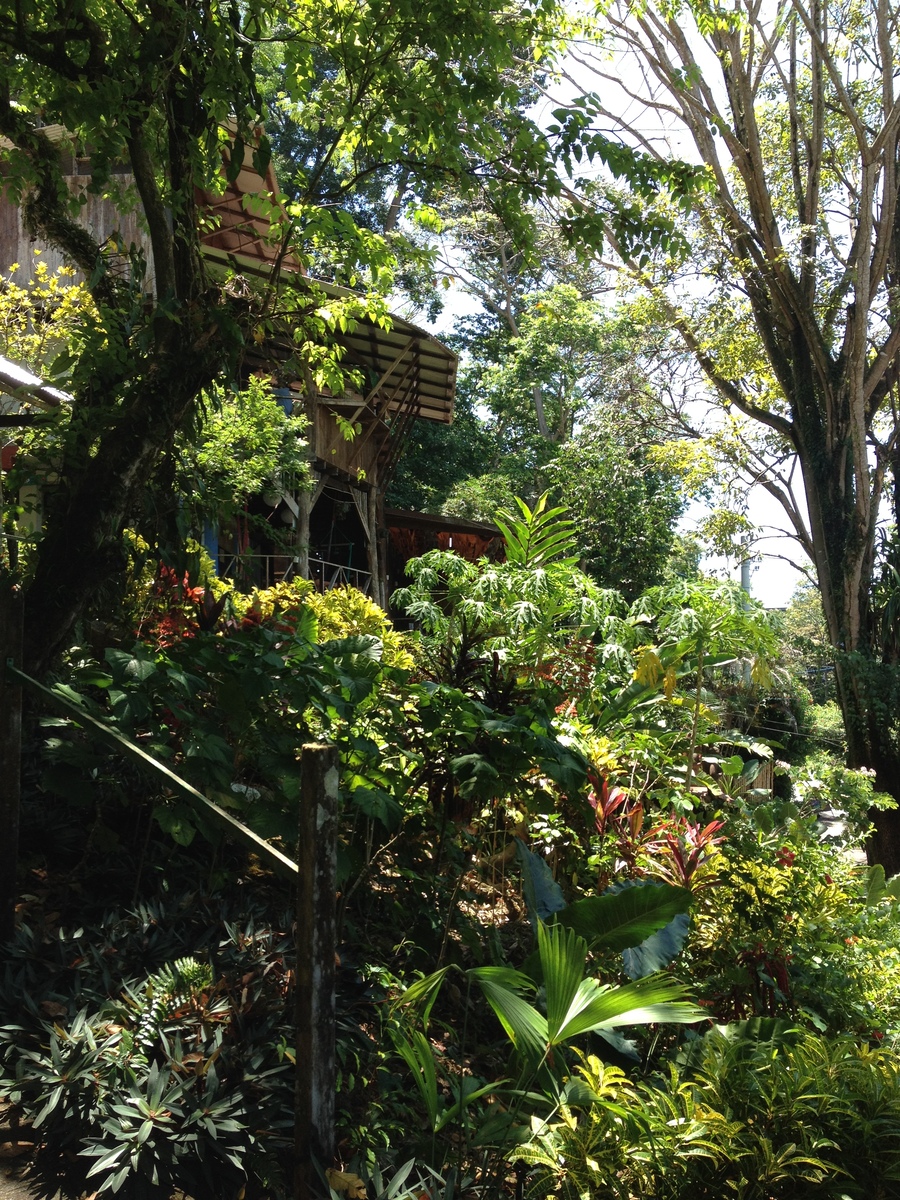 รูปถ่าย คอสตาริกา(Costa Rica) มานวยล์อันโตนีโอ(Manuel Antonio) 2015-03 37