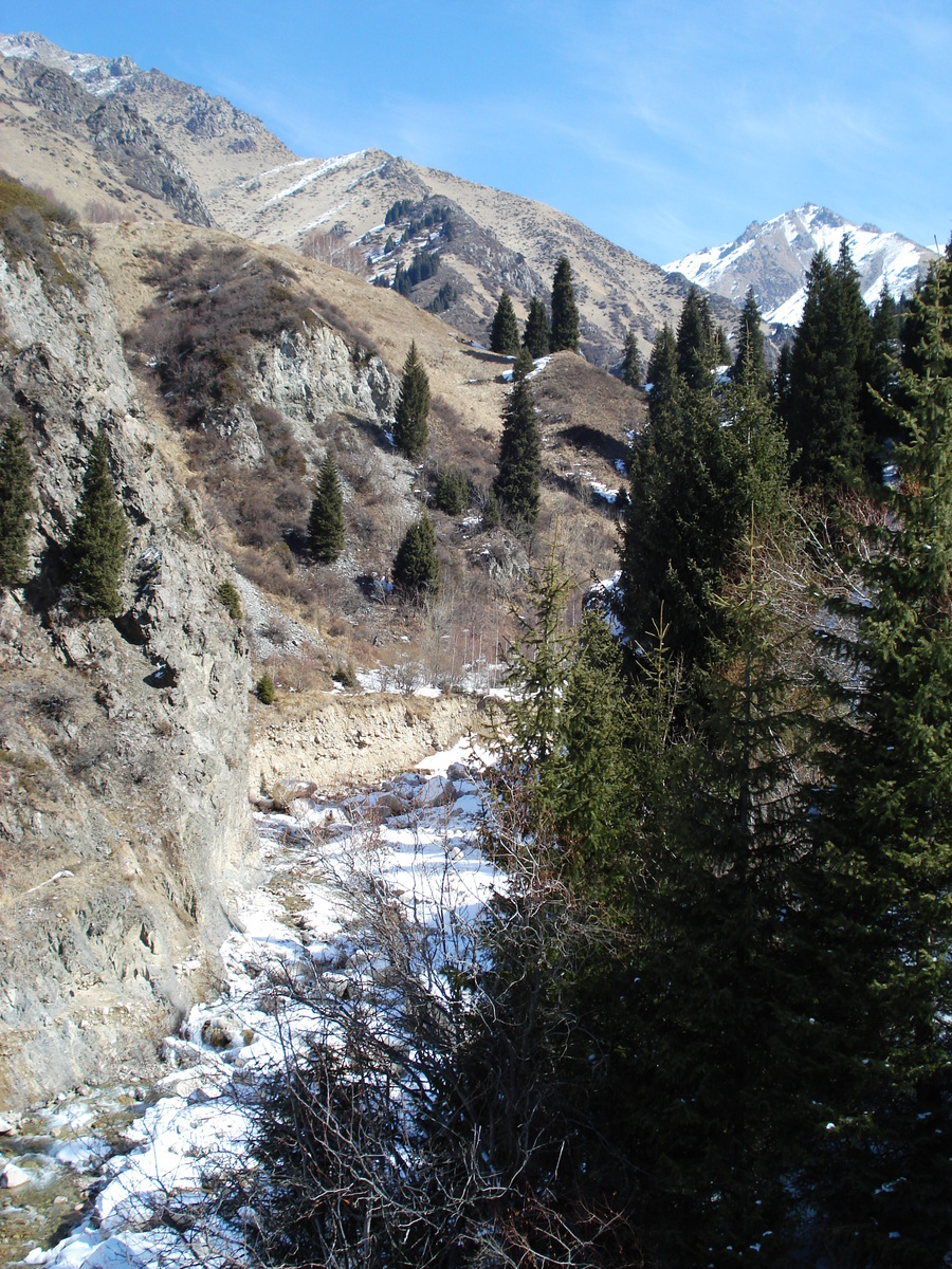 รูปถ่าย คาซัคสถาน(Kazakhstan) อุทยานแห่งชาติอีเลอาลาเตา(Ile Alatau National Park) 2007-03 51