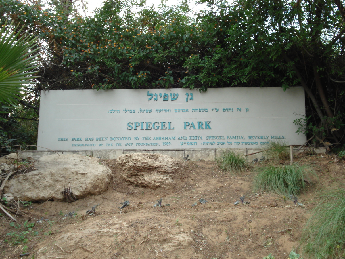รูปถ่าย อิสราเอล(Israel) เทลอาวีฟ(Tel Aviv) ชายหาดเทลอาวีฟ(Tel Aviv Sea Shore) 2006-12 261