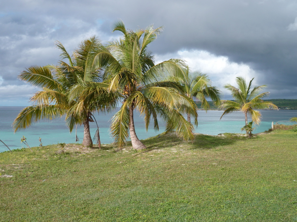 รูปถ่าย นิวแคลิโดเนีย(New Caledonia) เกาะลีฟู(Lifou) เว(We) 2010-05 11