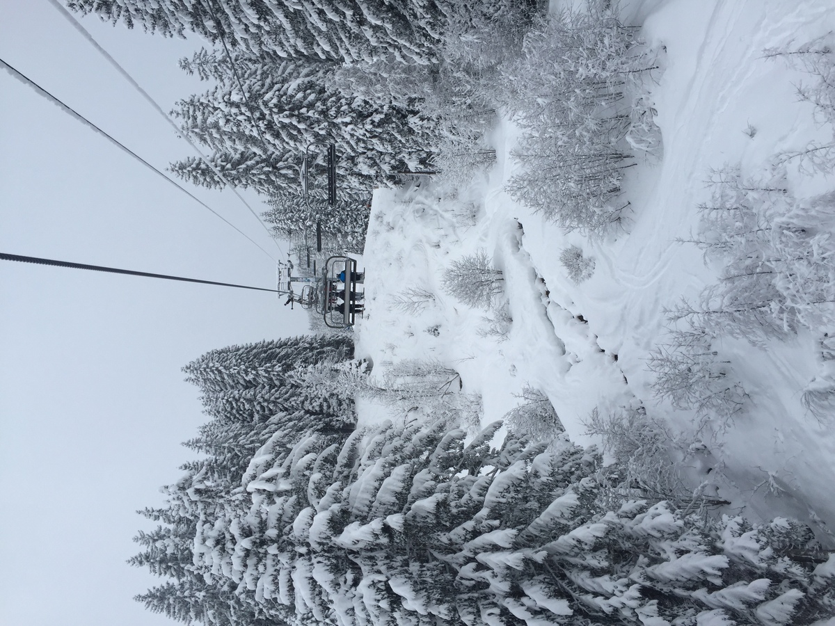 รูปถ่าย ฝรั่งเศส(France) เมแฌฟว์(Megeve) 2016-02 33