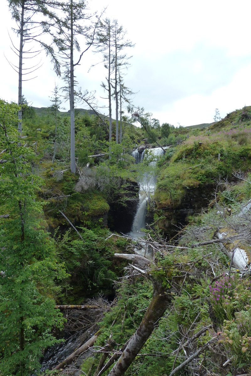 รูปถ่าย อังกฤษ(United Kingdom) สกอตแลนด์(Scotland) ทะเลสาบลอคมารี(Loch Maree) 2011-07 39