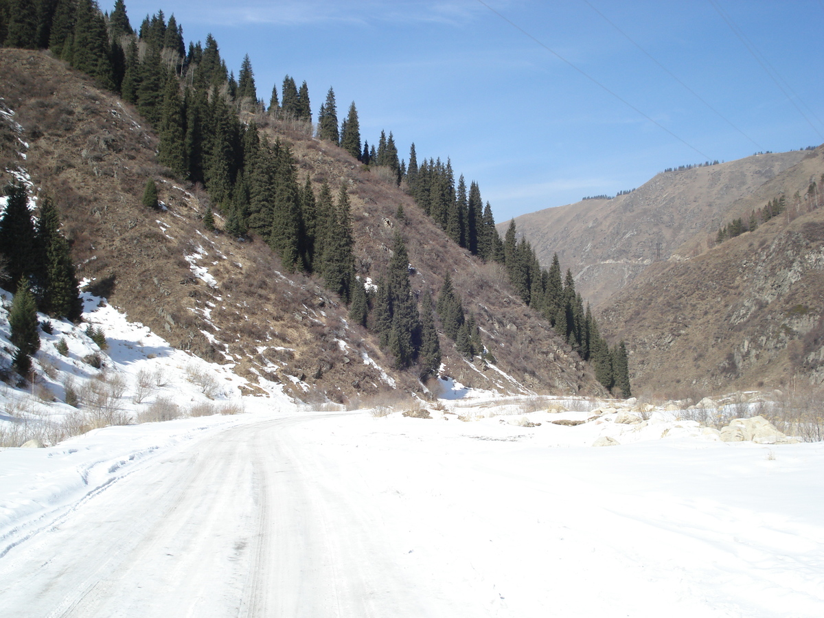 รูปถ่าย คาซัคสถาน(Kazakhstan) อุทยานแห่งชาติอีเลอาลาเตา(Ile Alatau National Park) 2007-03 15