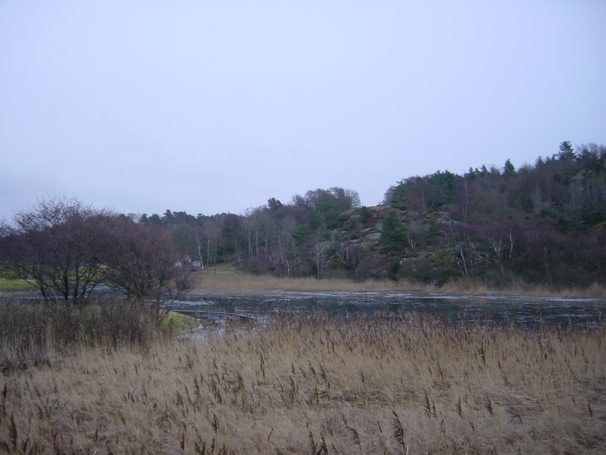 รูปถ่าย สวีเดน(Sweden) โกเธนเบิร์ก(Gothenburg) 2003-01 37
