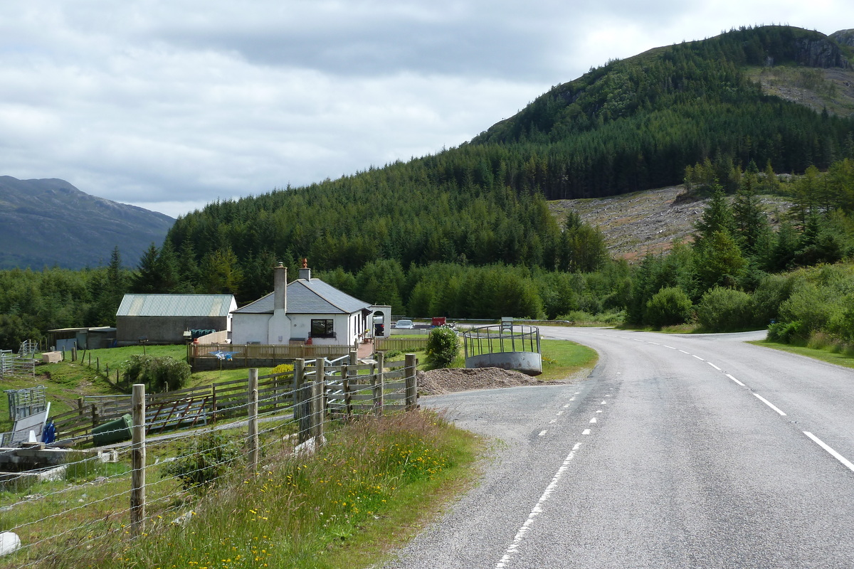 รูปถ่าย อังกฤษ(United Kingdom) สกอตแลนด์(Scotland) ทะเลสาบลอคมารี(Loch Maree) 2011-07 30