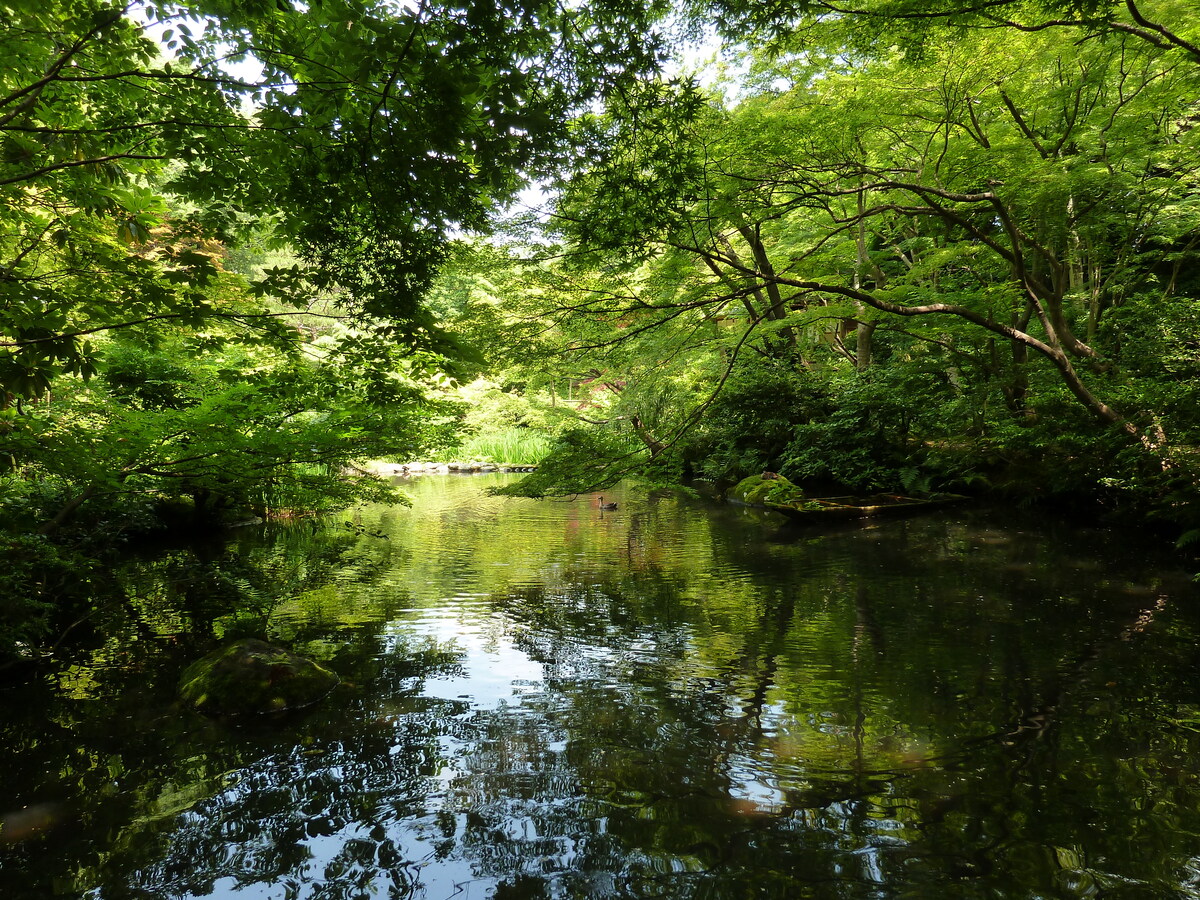รูปถ่าย ญี่ปุ่น(Japan) โตเกียว(Tokyo) พิพิธภัณฑ์เนซุ(Nezu Museum) 2010-06 116