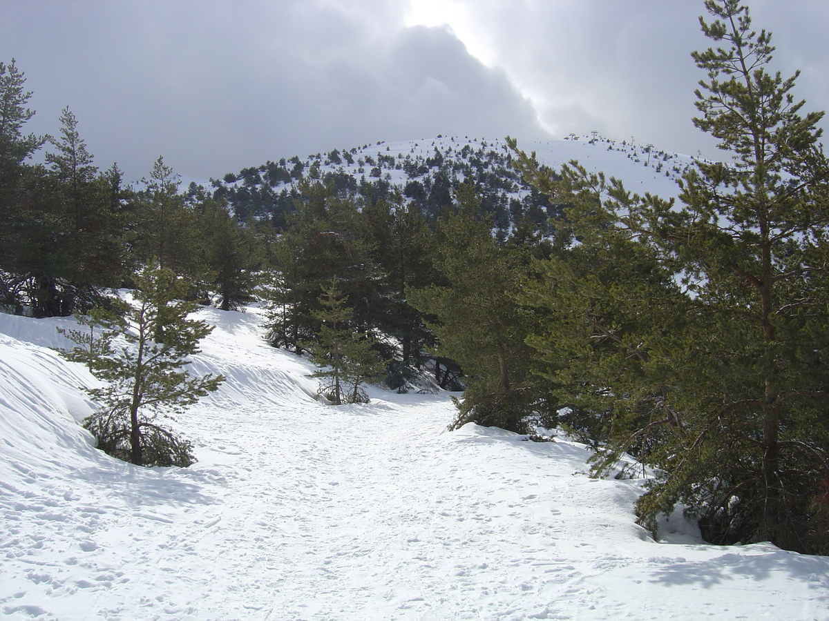 รูปถ่าย ฝรั่งเศส(France) เกรโอลีแยร์(Greolieres) 2006-02 55