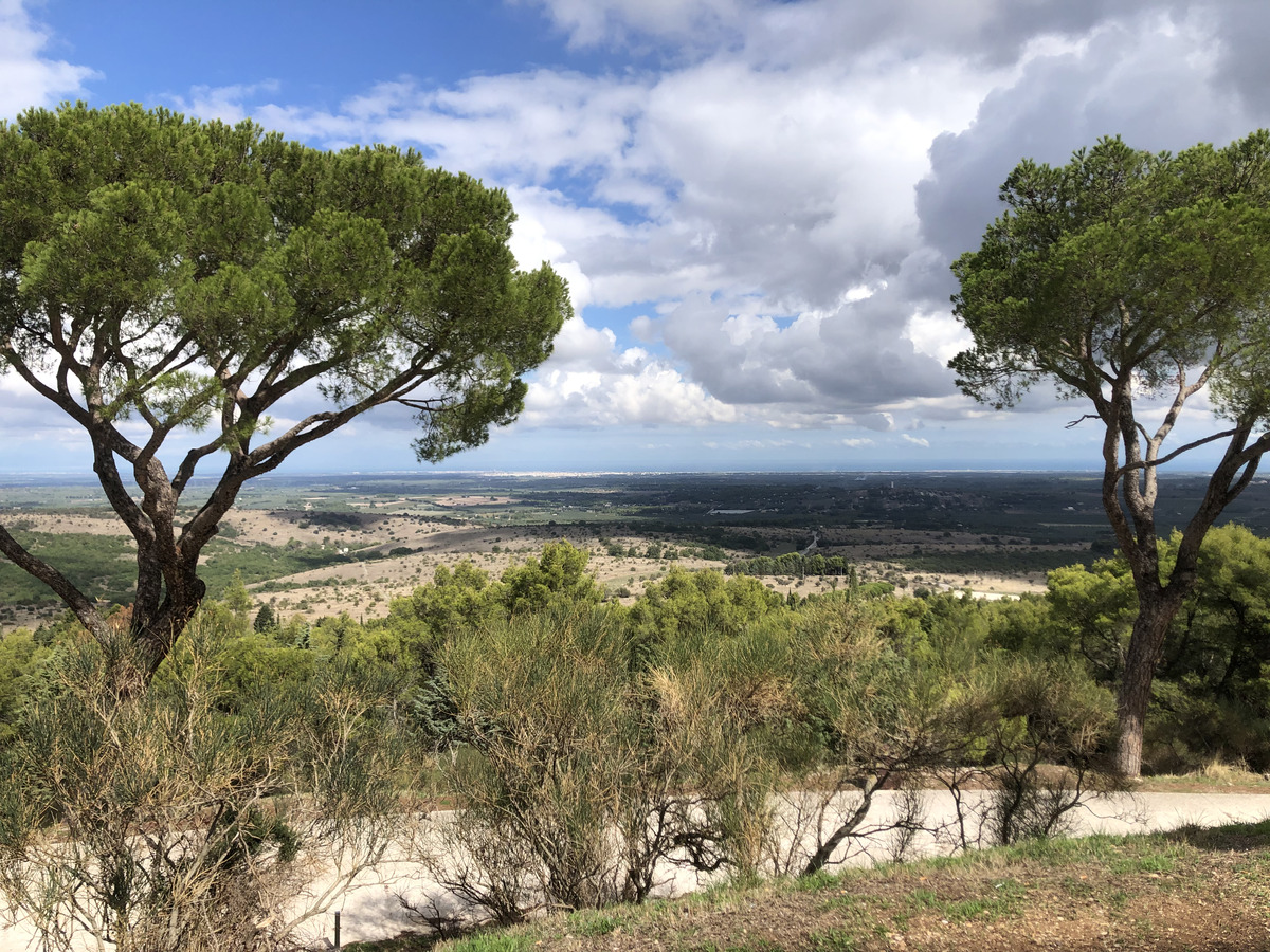 รูปถ่าย อิตาลี(Italy) ปราสาทกัสเตลเดลมอนเต(Castel del monte) 2024-09 86