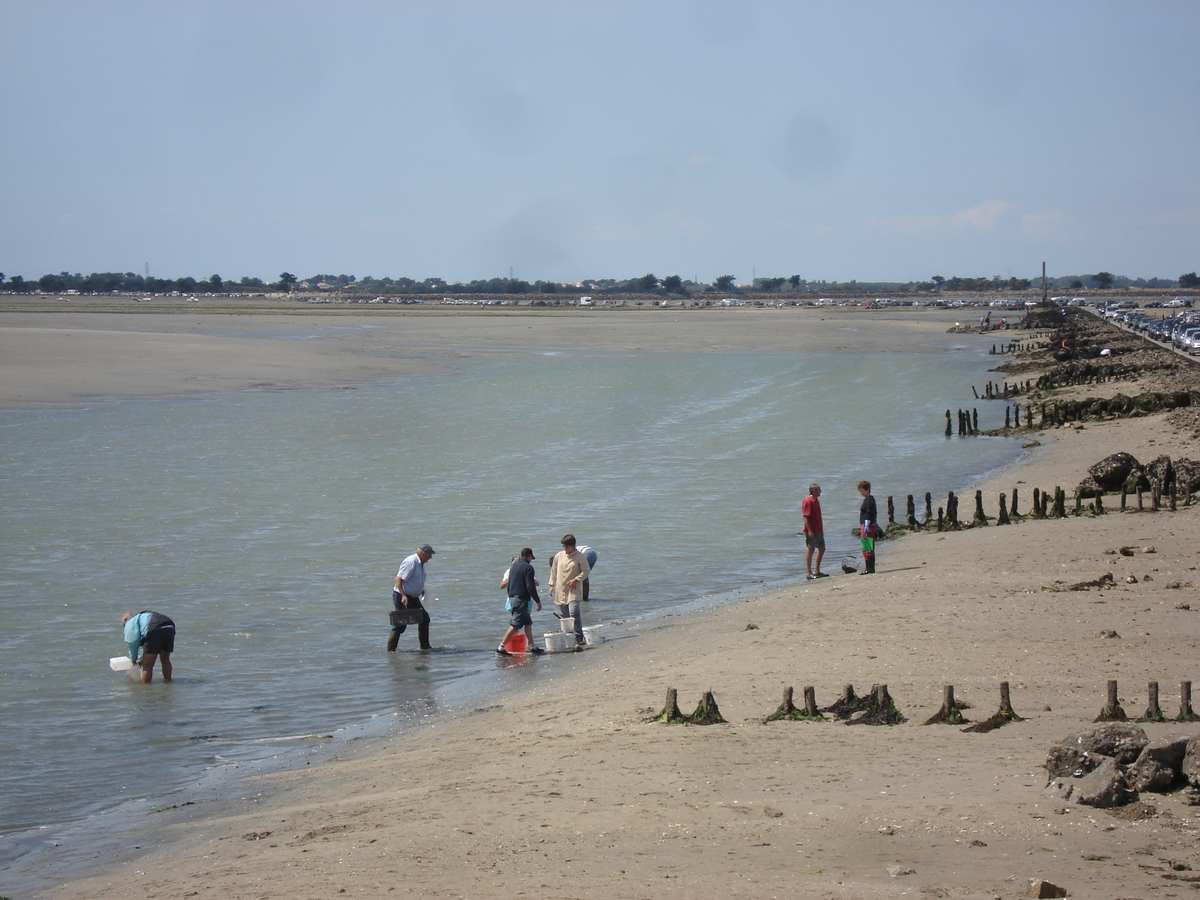 รูปถ่าย ฝรั่งเศส(France) ถนนเลอกัว(Le Gois) 2006-08 20