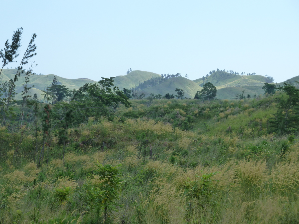รูปถ่าย ฟิจิ(Fiji) ถนนจากนาดีไปนาตาโดลา(Nadi to Natadola road) 2010-05 3